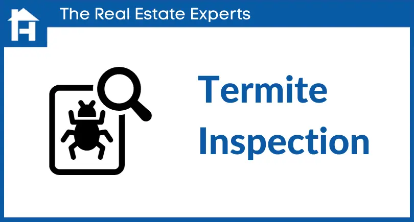 termite-inspection